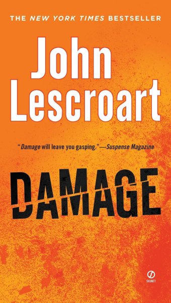 Buchcover: Damage