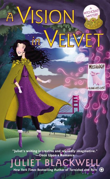 Buchcover: A Vision in Velvet