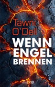 Buchcover: Wenn Engel brennen